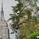 Image for article titled Huawei Rewrote the Rules for Smartphone Cameras With the P30 Pro
